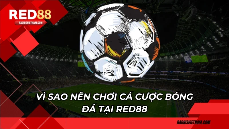 Vì sao nên chơi cá cược bóng đá tại Red88