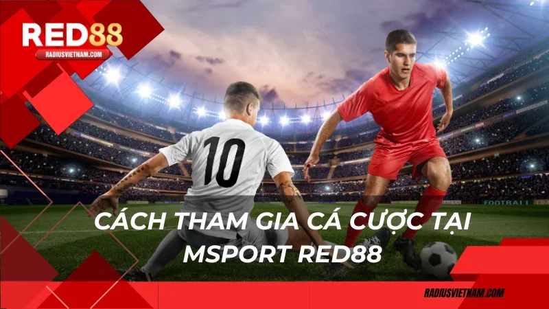 Cách tham gia cá cược tại Msport RED88