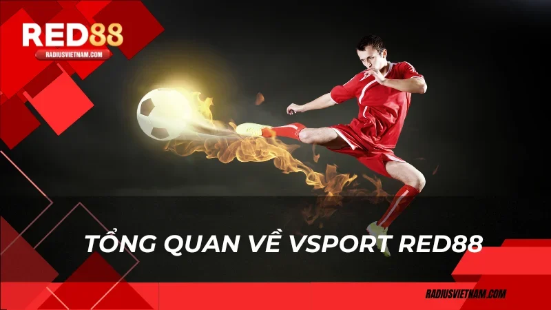 Tổng quan về vsport red88